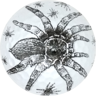 Tarantula Spider on White Novelty Golf Balls - One Dozen