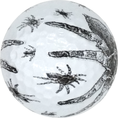 Tarantula Spider on White Novelty Golf Balls - One Dozen - Image 2