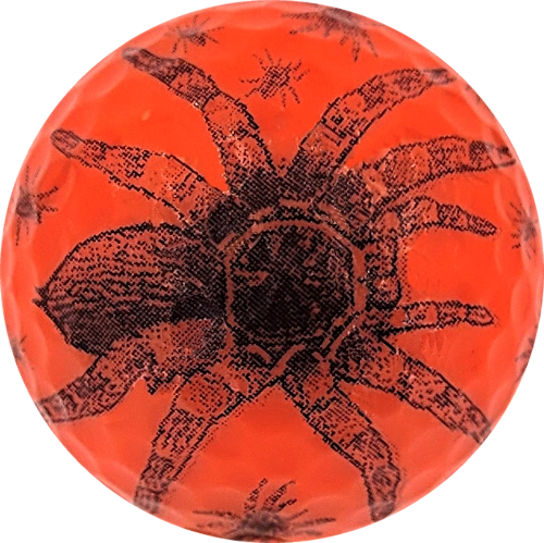 Tarantula Spider on Orange Novelty Golf Balls - One Dozen