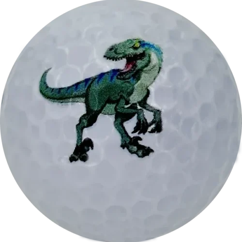 New Raptor Novelty Golf Balls - One Dozen